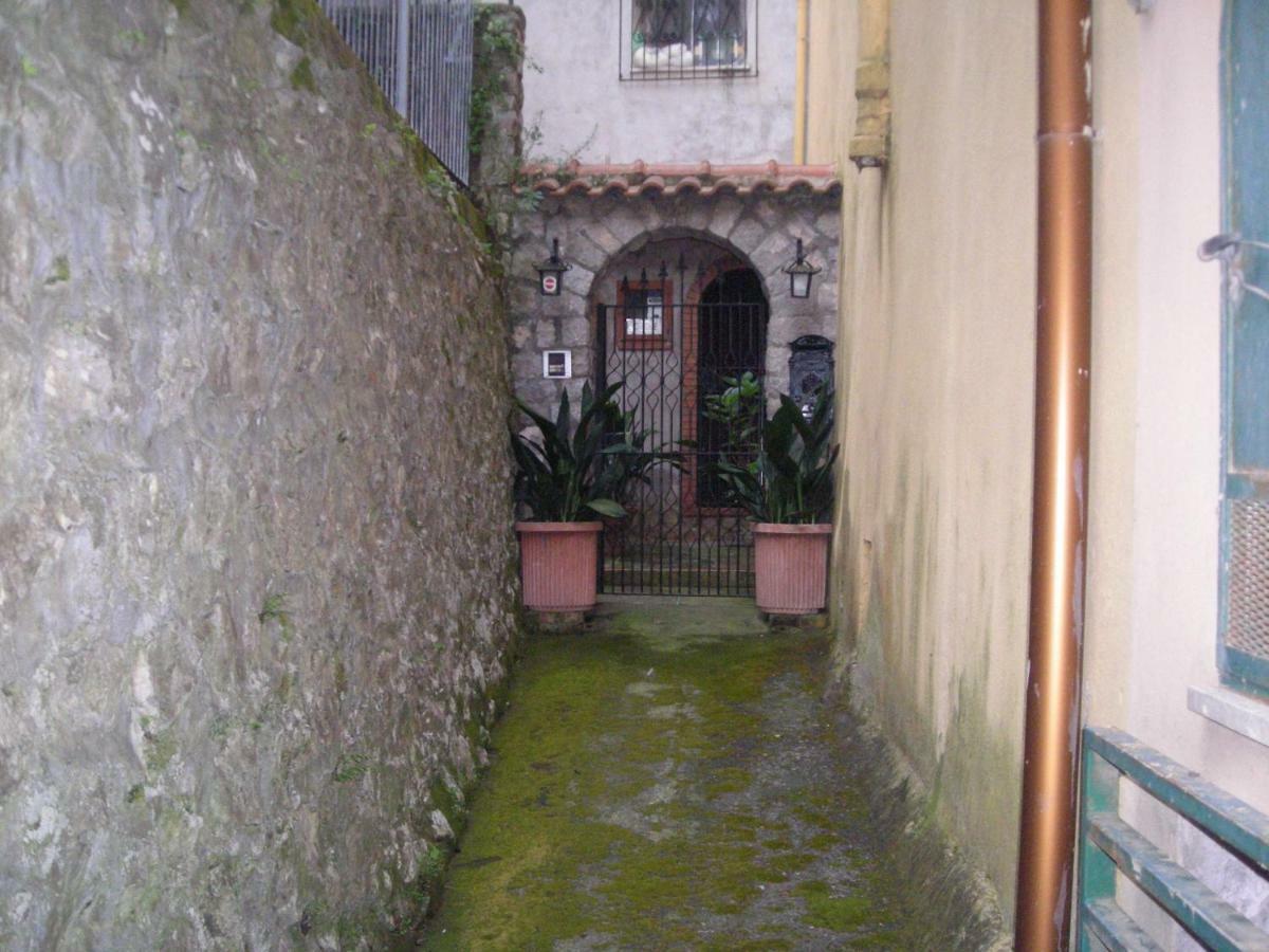 拉科博雷诺住宿加早餐旅馆 索伦托 外观 照片