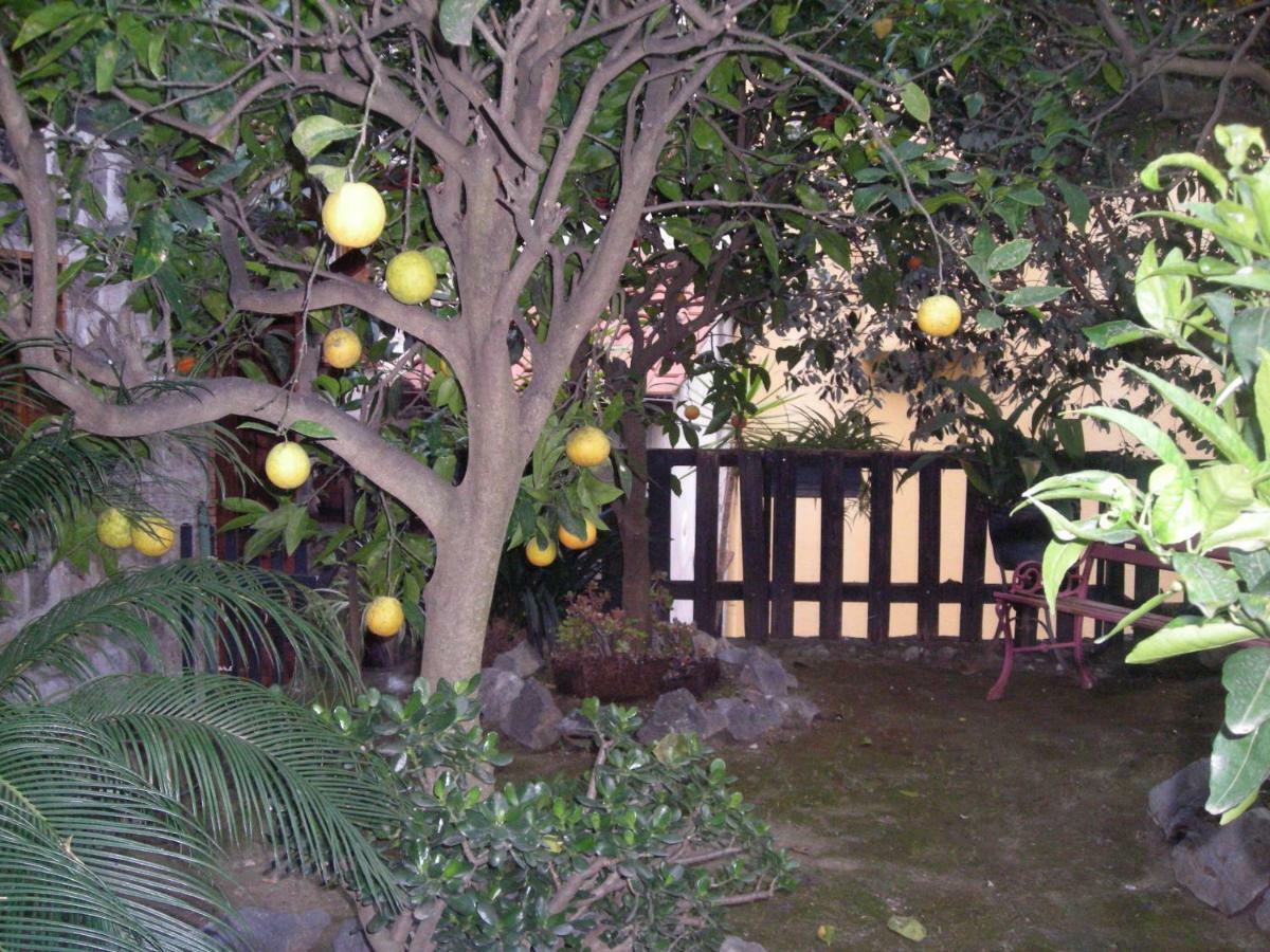 拉科博雷诺住宿加早餐旅馆 索伦托 外观 照片