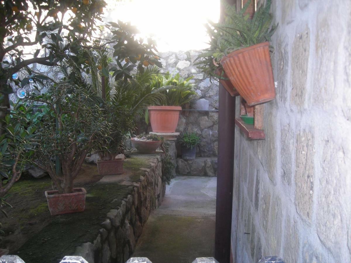 拉科博雷诺住宿加早餐旅馆 索伦托 外观 照片