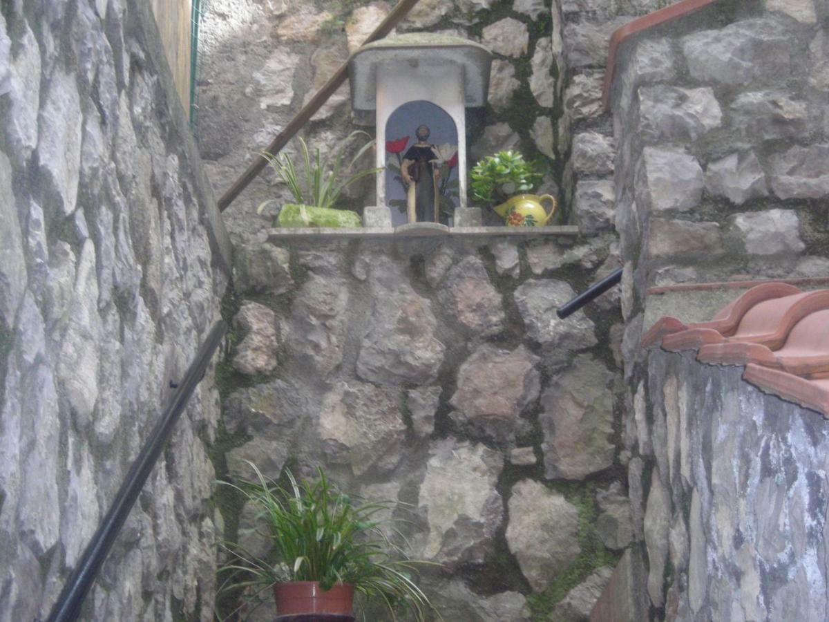 拉科博雷诺住宿加早餐旅馆 索伦托 外观 照片